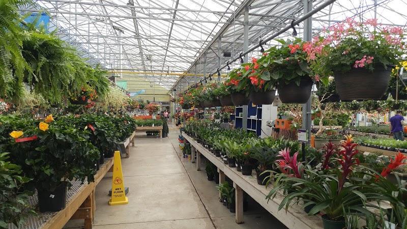 Jardinerie TERRA - Burlington à Burlington (ON) | LiveWay